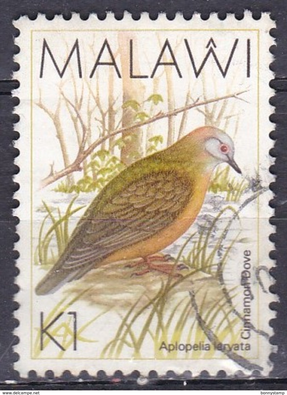 Malawi, 1988 - 1k Cinnamon Dove - Nr.530 Usato° - Malawi (1964-...)
