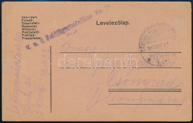 1917 Tábori Posta Levelezőlap 'K.u.k. Feldjägerbataillon No.28. Post' + 'TP 433 A' - Other & Unclassified