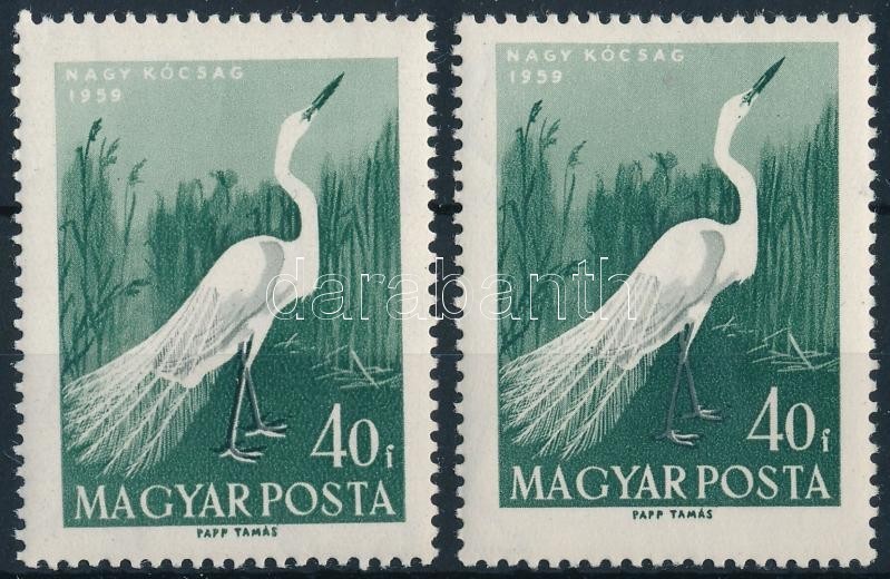 ** 1959 Madarak 40f Fehér Lábú Kócsag + Támpéldány - Other & Unclassified