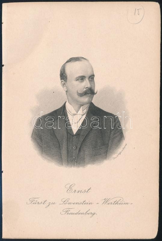 Ernst Löwenstein-Wertheim Herceg Acémetszetű Portréja. / Steel Engraved Portrait 10x15 Cm - Estampes & Gravures