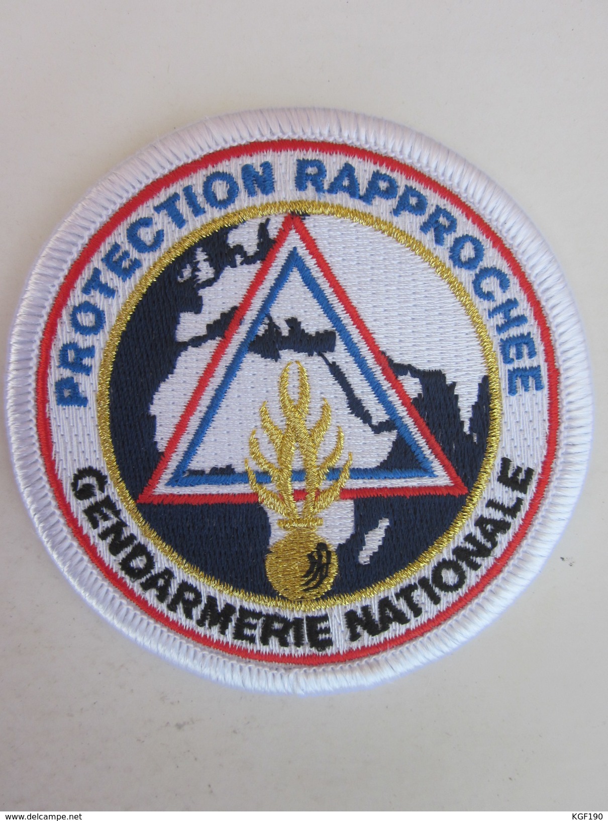 INSIGNE GENDARMERIE PROTECTION RAPPROCHEE - Police