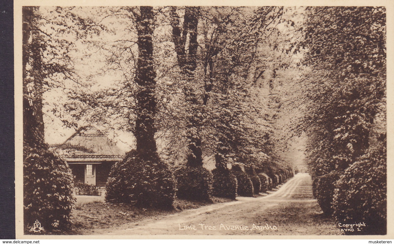 United Kingdom PPC Lime Tree Avenue, Aynho TUCK's Postcard (2 Scans) - Northamptonshire