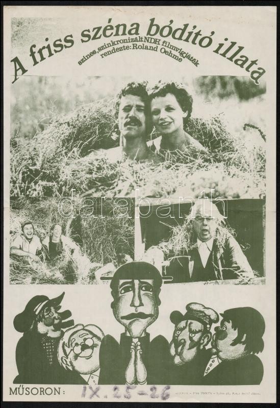 1979 A Friss Széna Bódító Illata, NDK Filmvígjáték Plakát, 41x28,5 Cm - Autres & Non Classés