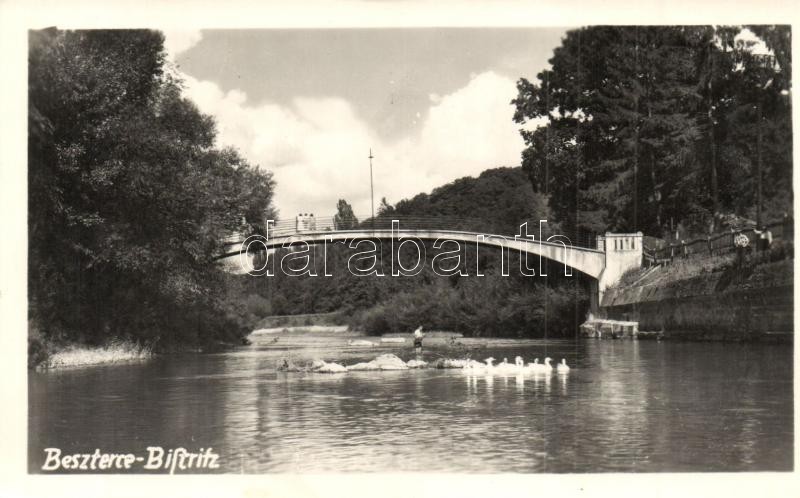 T2 1940 Beszterce, Bistritz, Bistrita; Vasbeton Híd / Bridge, Photo - Unclassified