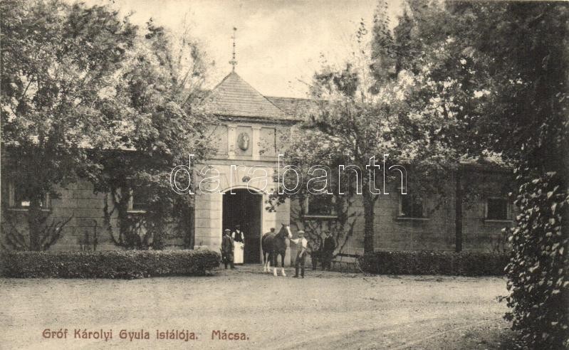 ** T1/T2 Mácsa, Macea; Gróf Károlyi Gyula Istállója. Ruhm Ödön Fényképész Kiadása / Horse Stable - Unclassified