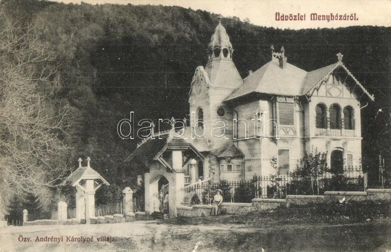 T2/T3 Menyháza, Moneasa; Özv. Andrényi Károlyné Villája, Kerpel Izsó Kiadása / Villa, Castle (Rb) - Unclassified