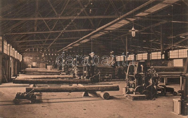 * T2 Nagytalmács, Talmesch, Talmaciu; Magyar-Olasz Erdőipari Rt. Fűrésztelepe, Belső / Sägewerk / Saw Mill, Interior - Unclassified