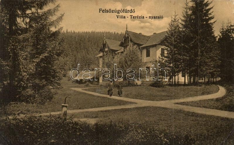 * T2/T3 Felsőzúgófürdő, Bad Ober Rauschenbach, Kupele Vysne Ruzbachy; Terézia Nyaraló / Villa (EK) - Non Classés