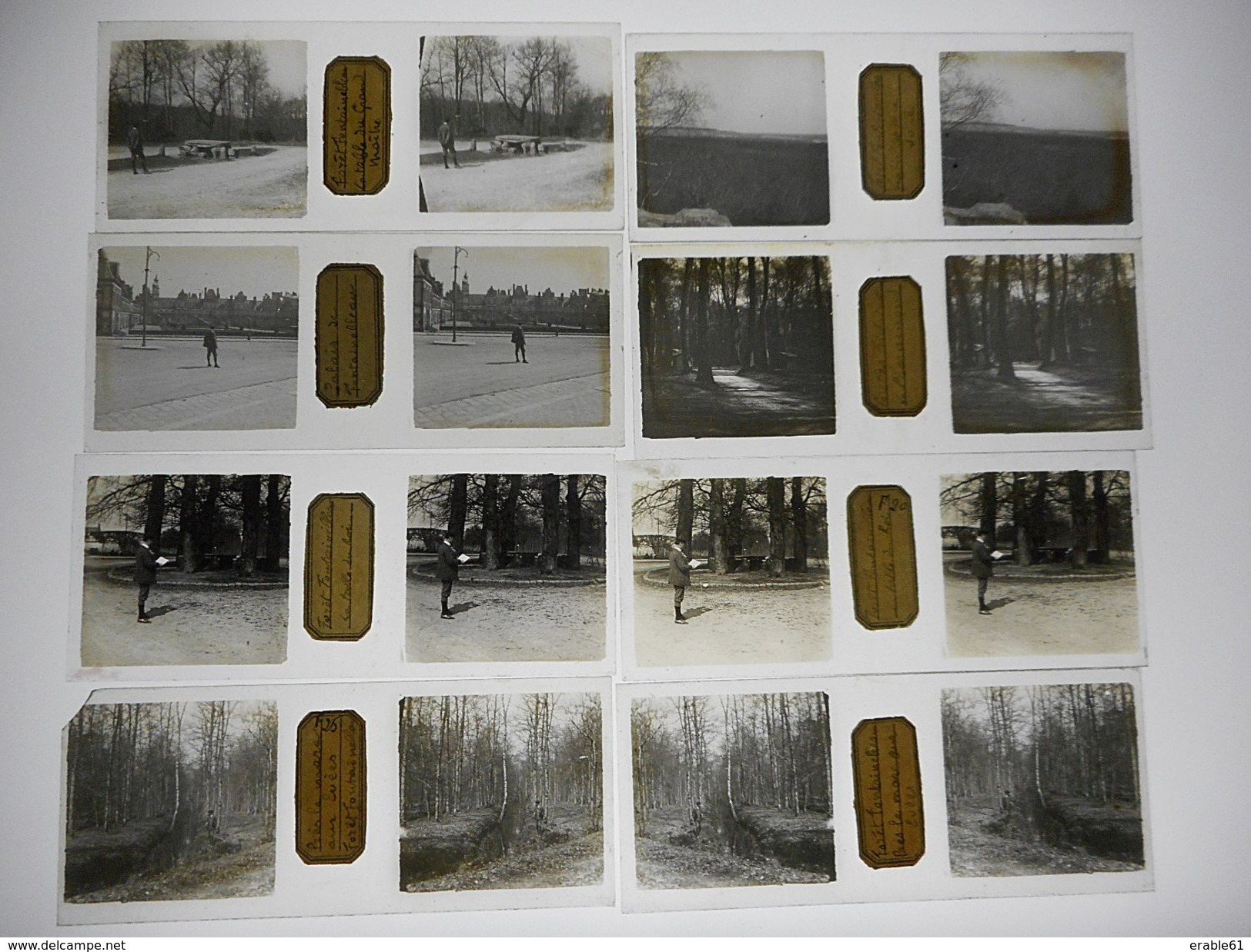 LOT DE 8 PHOTO STEREO SUR PLAQUE DE VERRE FORET DE FONTAINEBLEAU CHATEAU - Photos Stéréoscopiques