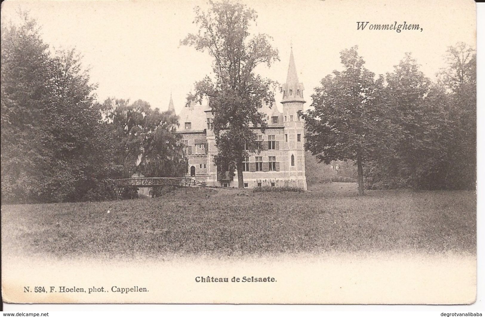 WOMMELGHEM: Château De Selsaete (hoelen) - Wommelgem