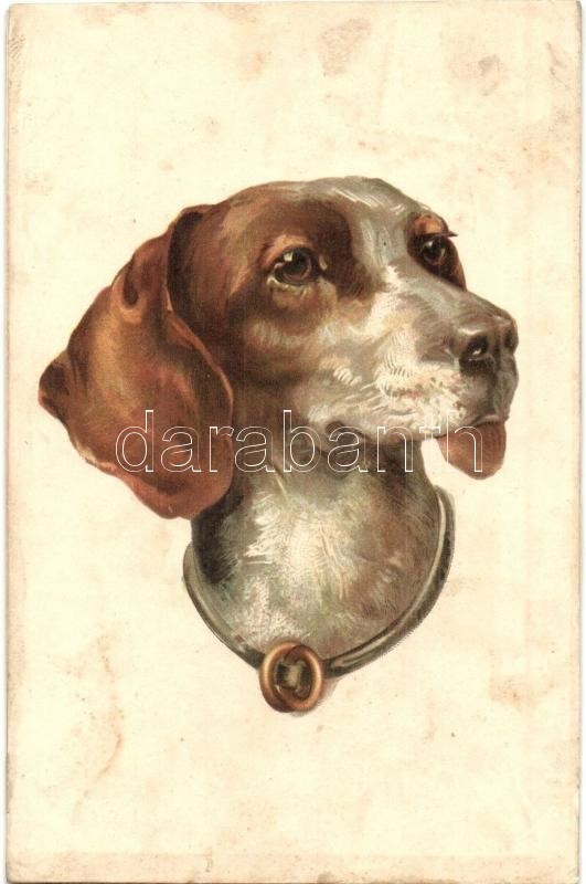 ** T4 Dog, Litho  (r) - Non Classés