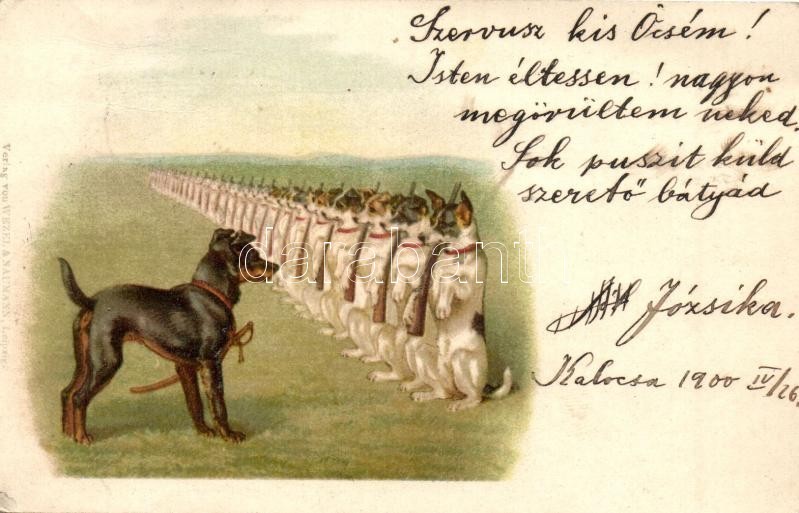 T2 Dog Army. Wezel & Naumann Litho - Non Classés