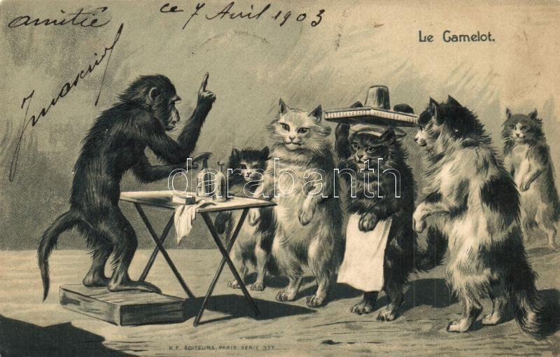 T2 Le Camelot / Cats With Monkey. Humour. Emb. Litho - Non Classés