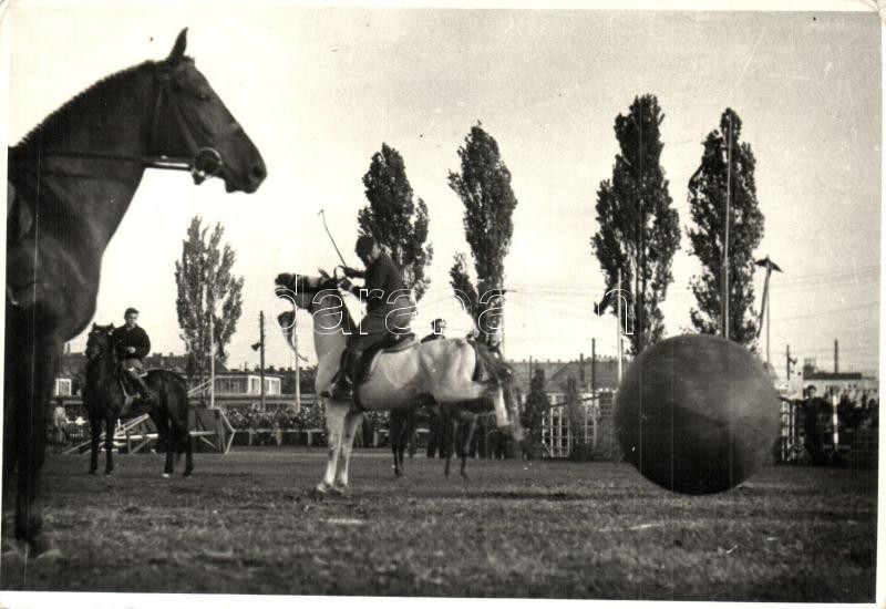 * T2/T3 Lovaspóló. Tiszavölgyi József Felvétele - Polo, Horses. Photo - Non Classés