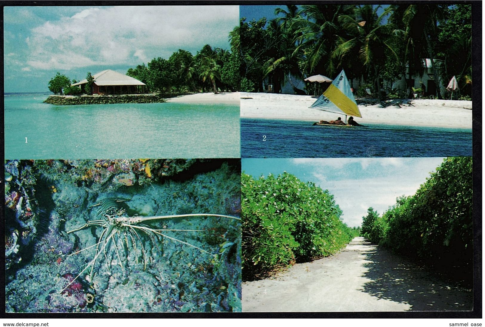 Maldives  -  Villingili  -  Ansichtskarte Ca.1982    (7741) - Maldive