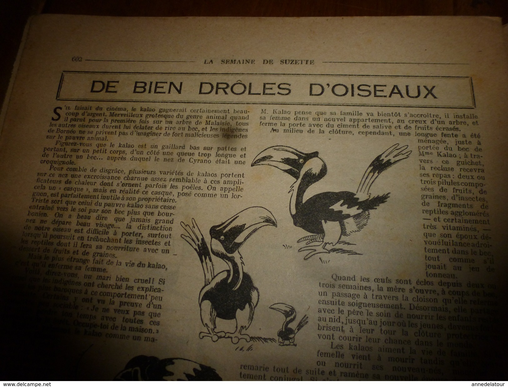 1948 LSDS (La Semaine de Suzette): Leçon de politesse ; Dame TARTINE marie sa fille ; Drôles d'oiseaux ; etc