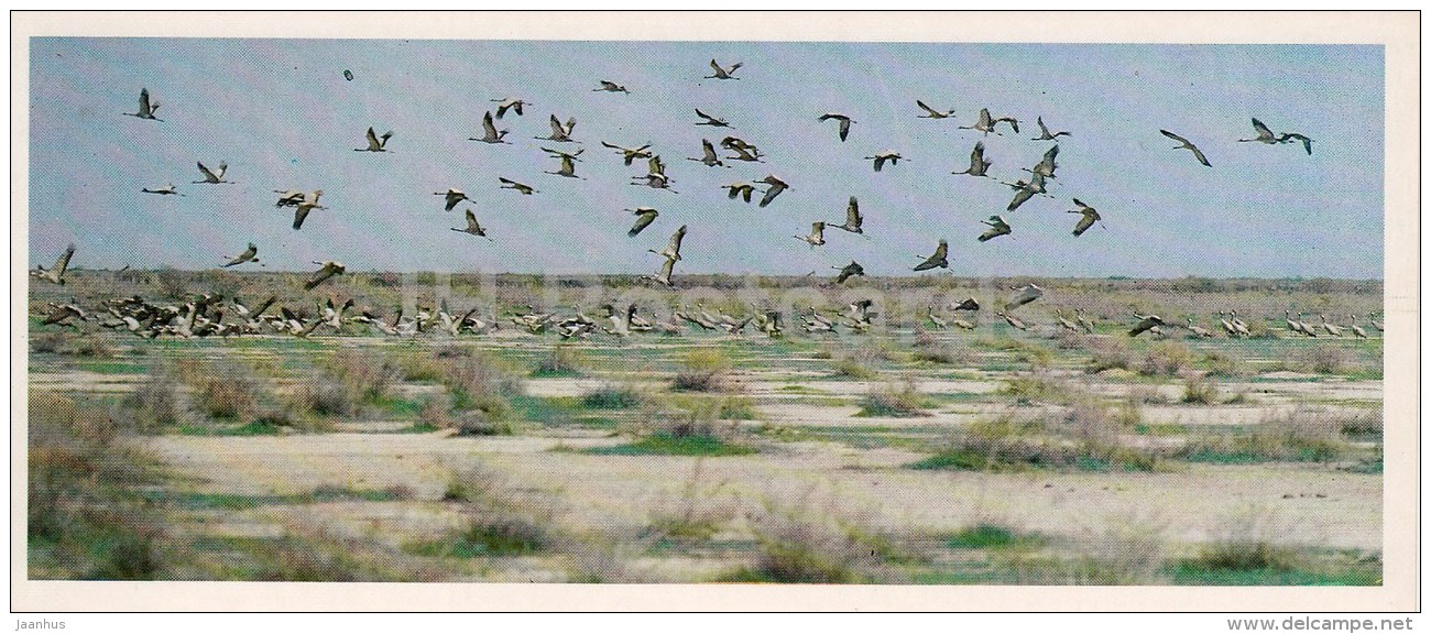 Crane-land - Kopet Dagh Nature Reserve - 1985 - Turkmenistan USSR - Unused - Turkménistan