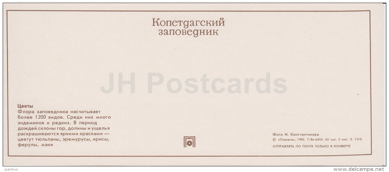 Field Flowers - Kopet Dagh Nature Reserve - 1985 - Turkmenistan USSR - Unused - Turkménistan