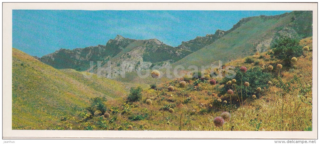 Valley - Kopet Dagh Nature Reserve - 1985 - Turkmenistan USSR - Unused - Turkmenistan