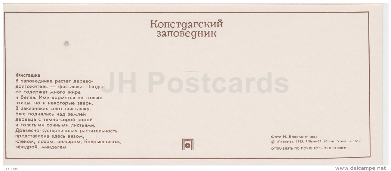 Pistacia - Kopet Dagh Nature Reserve - 1985 - Turkmenistan USSR - Unused - Turkmenistan