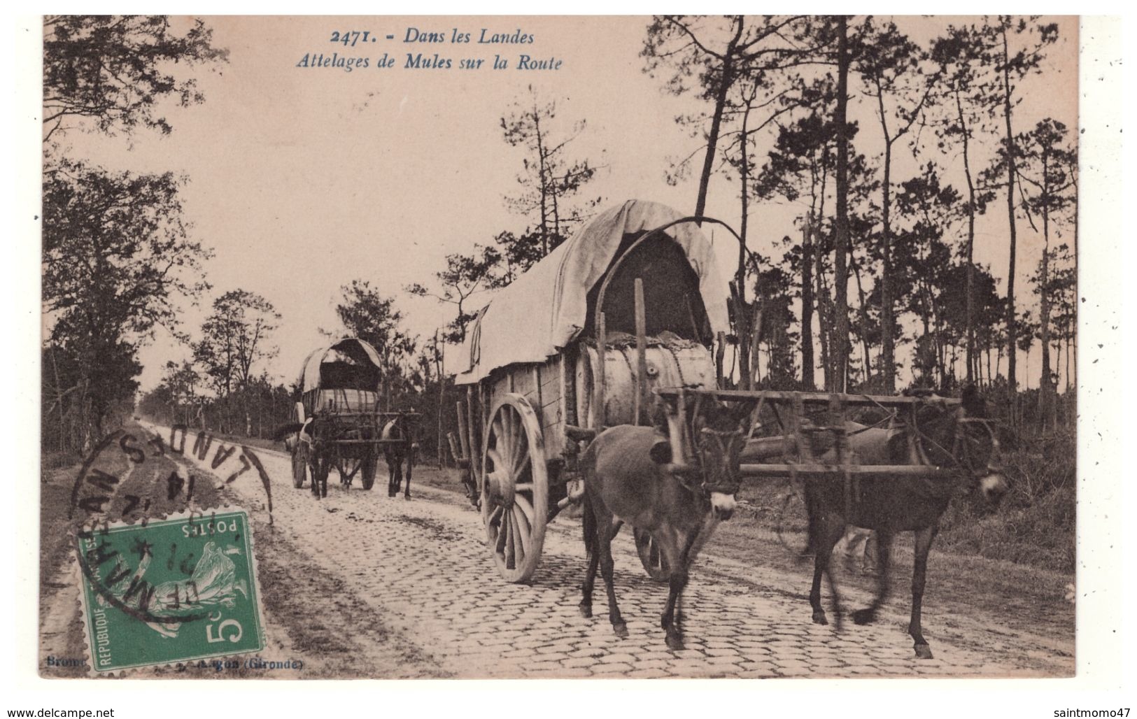 40 - DANS LES LANDES . ATTELAGES DE MULES SUR LA ROUTE - Réf. N°5329 - - Autres & Non Classés