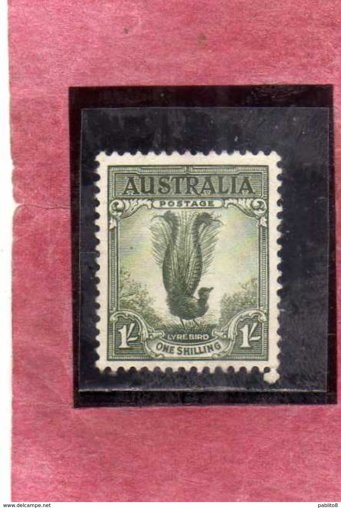 AUSTRALIA 1932 BIRD FAUNA AVICOLA UCCELLO Male Lyrebird LIRA 1sh MNH - Neufs