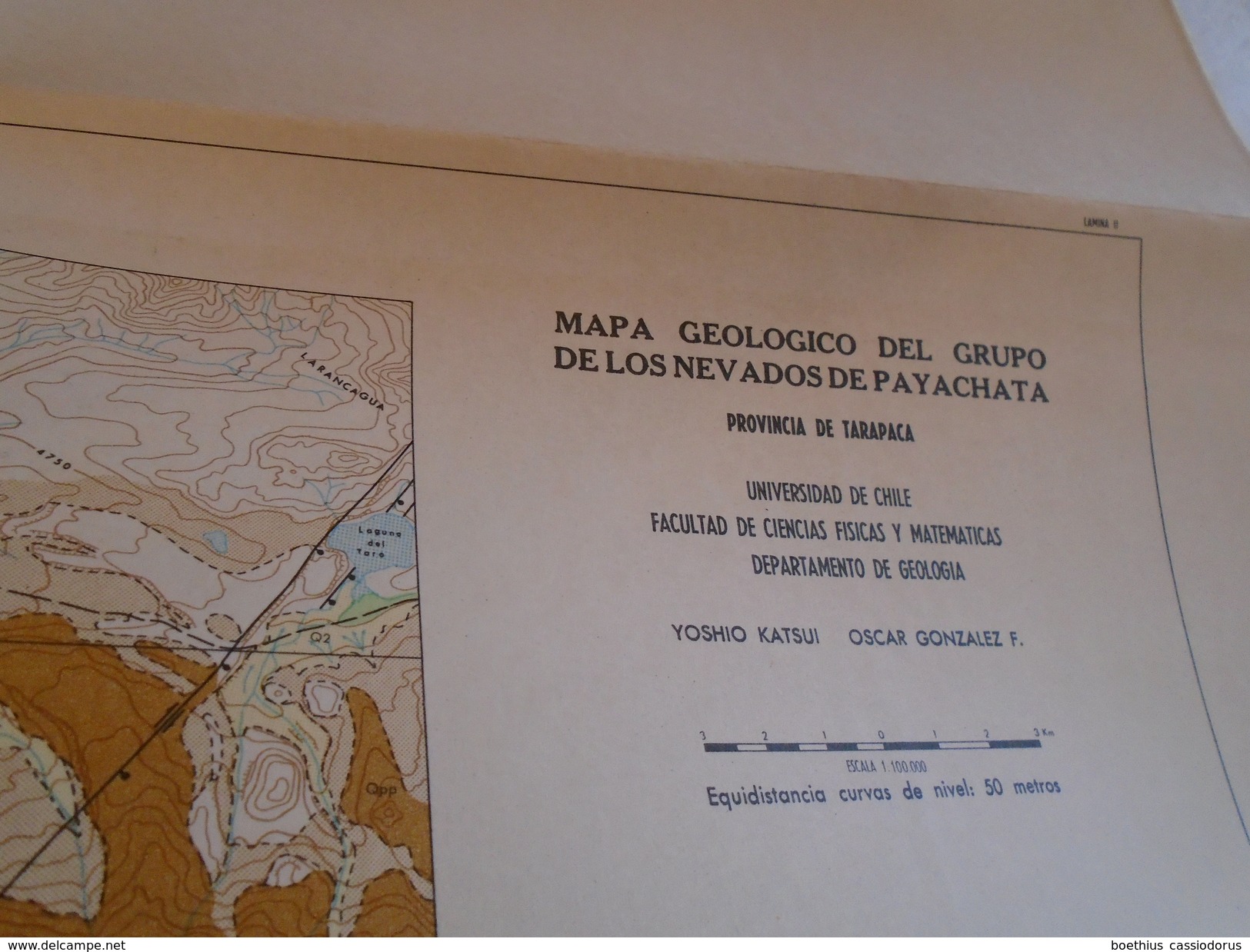 ANDES : GEOLOGIA AREA DE LOS NEVADOS DE PAYACHATA Tarapaca Arica VOLCANISMO CENOZOICO Chile Chili