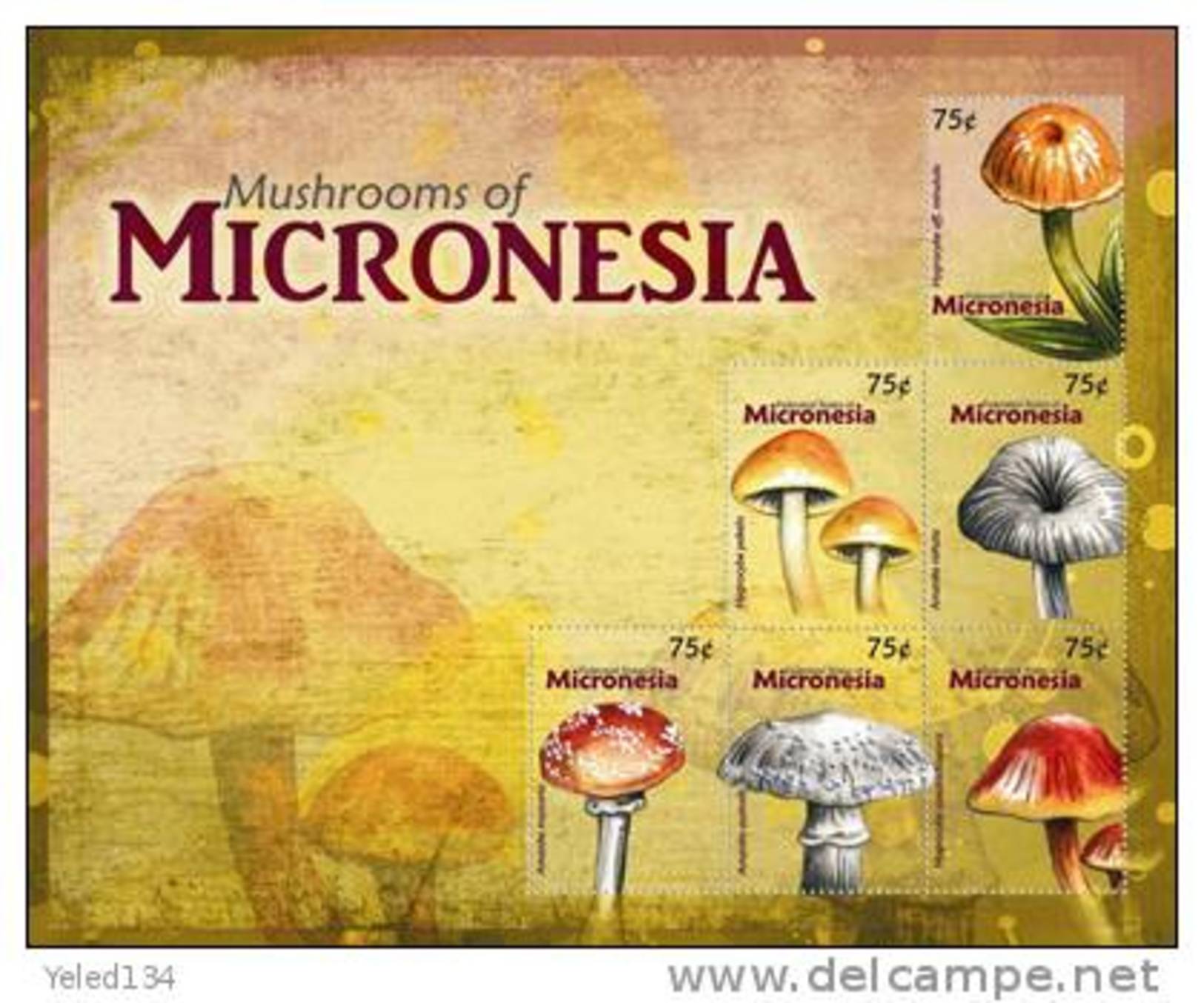 MICRONESIA  869  MINT NEVER HINGED MINI SHEET OF MUSHROOMS  # M-194   ( 1004 - Mushrooms