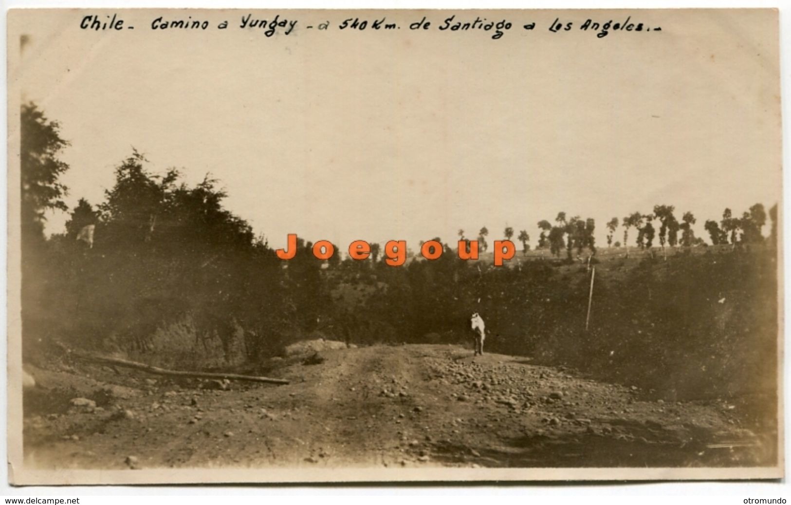 Foto Camino A Yungay Ñuble Santiago A Los Angeles Chile 1930 - Places