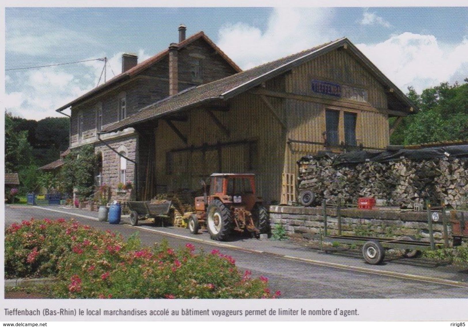 2008  --  BAS RHIN 67  --   LA GARE DE TIEFFENBACH  3D120 - Unclassified