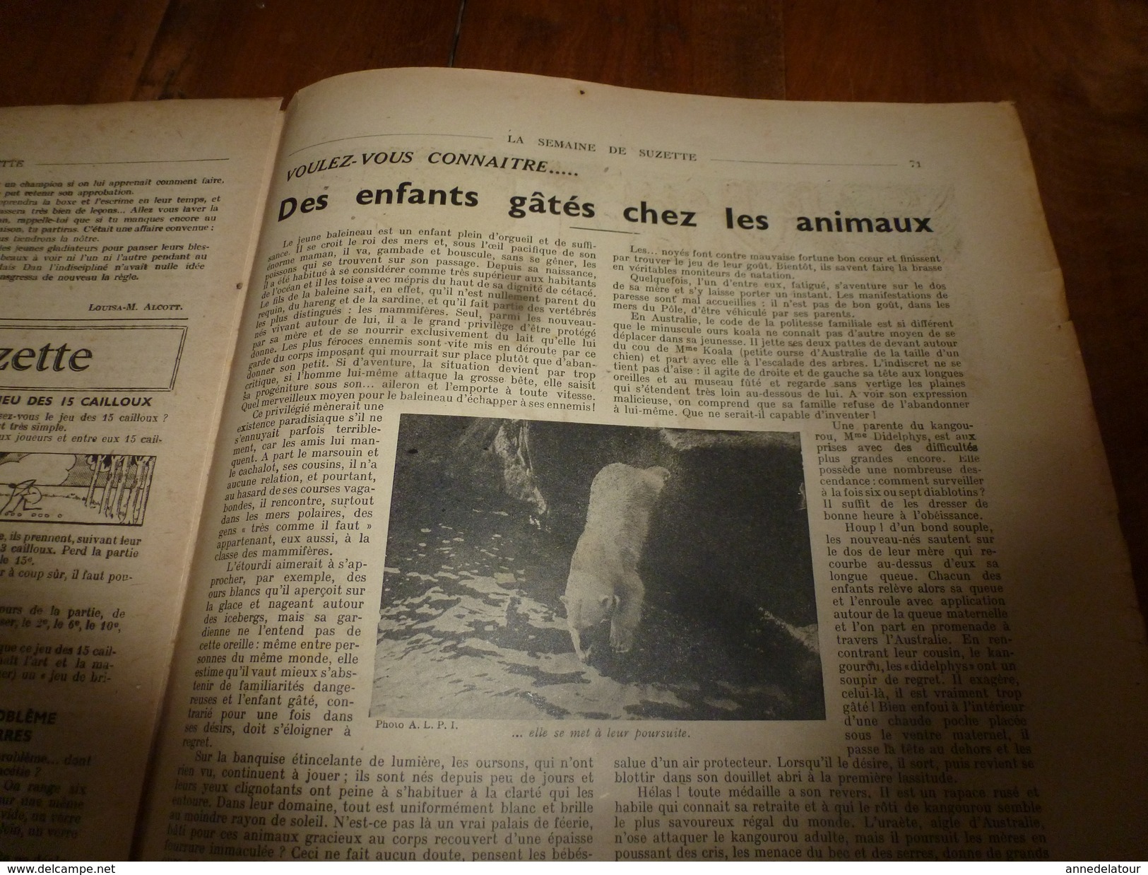 1946 LSDS  (La Semaine de Suzette) : La vengeance des arbres ; Des enfants gâtés chez les animaux; etc