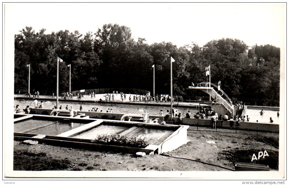 81 ALBI - Vue D'ensemble De La Piscine Olympique Municipale - Albi