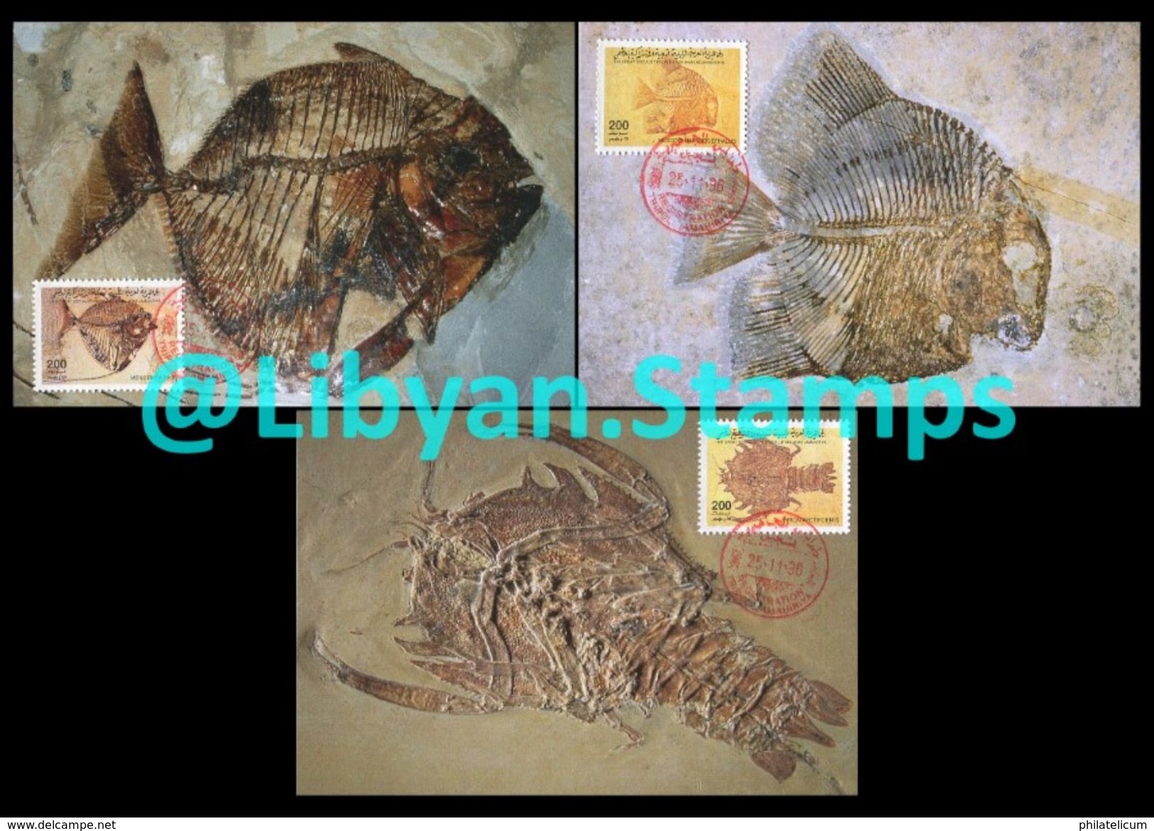 LIBYA - 1996 Fossils (3 Maximum-cards) - Fossiles