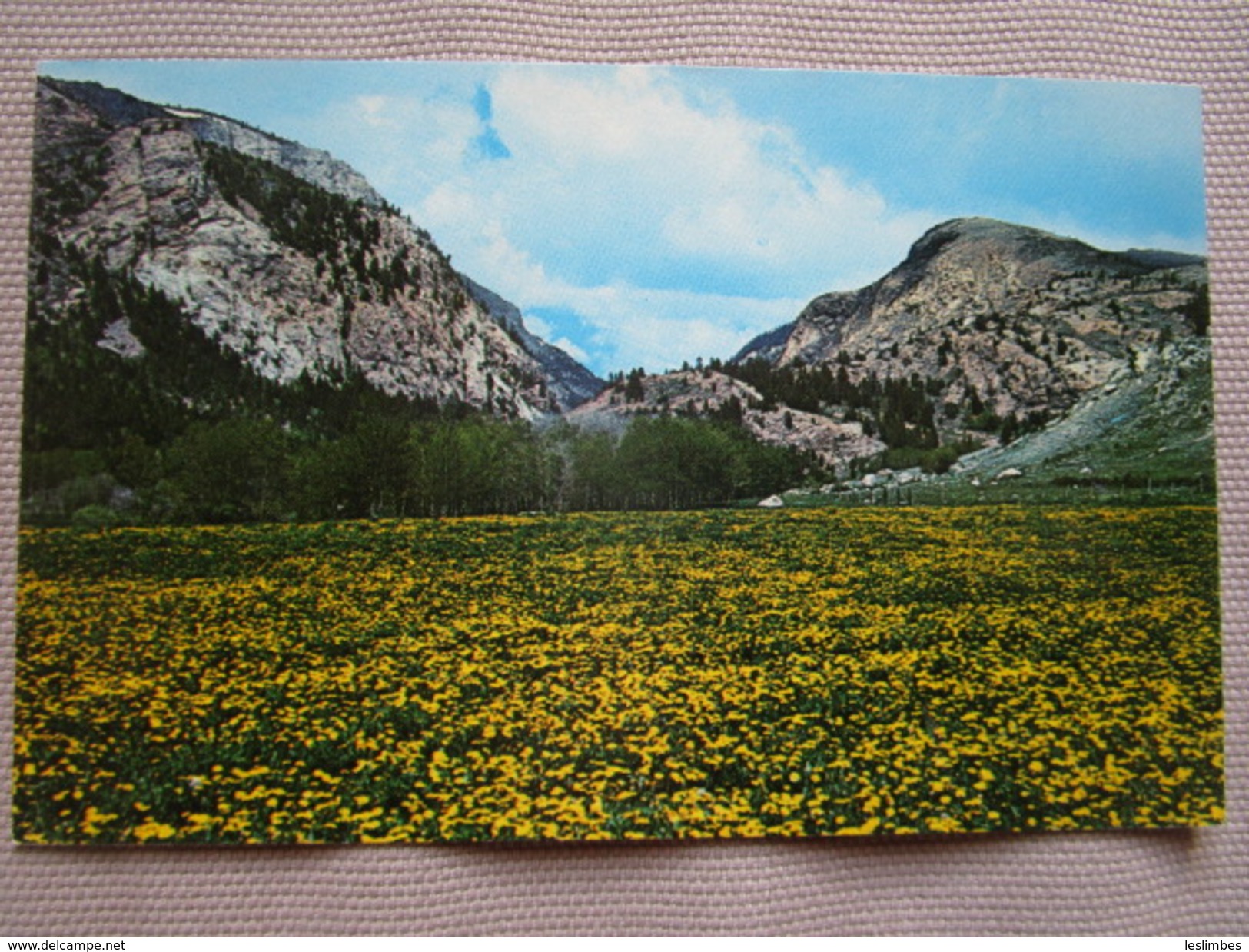 Lost Creek Canyon, Entry Way To Lost Creek State Park. Just Off Montana Highway 48, Between Anaconda And Deer Lodge - Anaconda