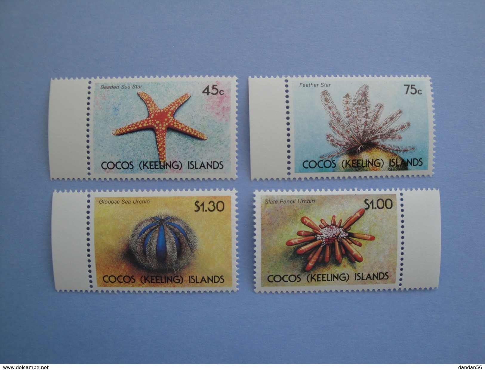 1991  Cocos Islands Yvert 233/6 ** Faune Marine Scott 237/40  Michel 245/8 Echinodermes - Cocos (Keeling) Islands