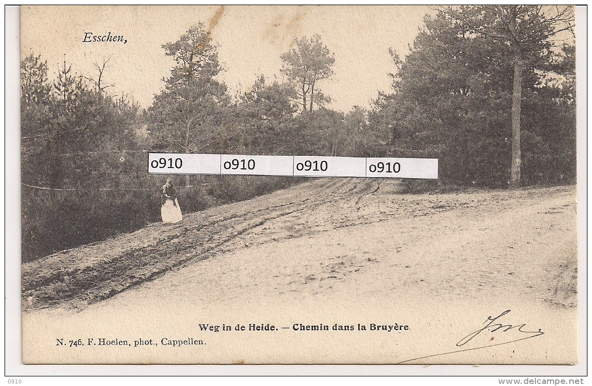 ESSCHEN-ESSEN "WEG IN DE HEIDE-CHEMIN DANS LA BRUYERE" HOELEN 746 Type 2- 03.05.03 - Essen