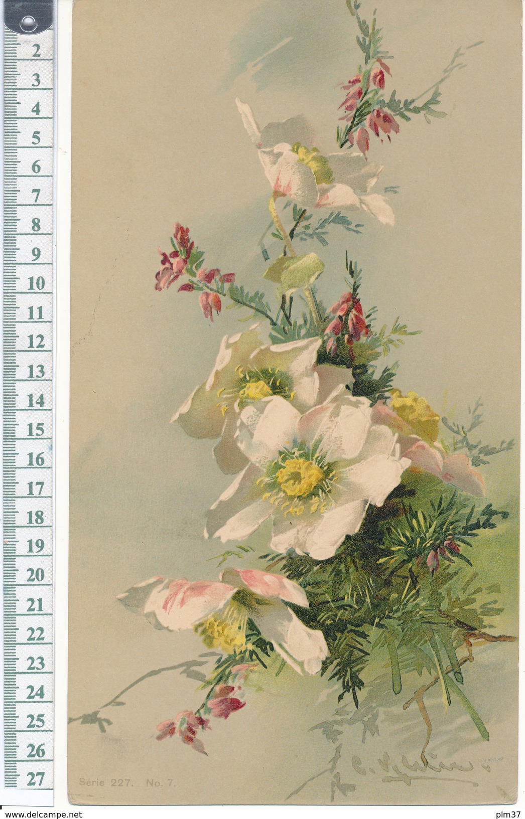 Catharina KLEIN - Chromo Format 15,5 X 27 Cm Sur Carton - Fleurs - Beaux Arts, Peinture - Autres & Non Classés
