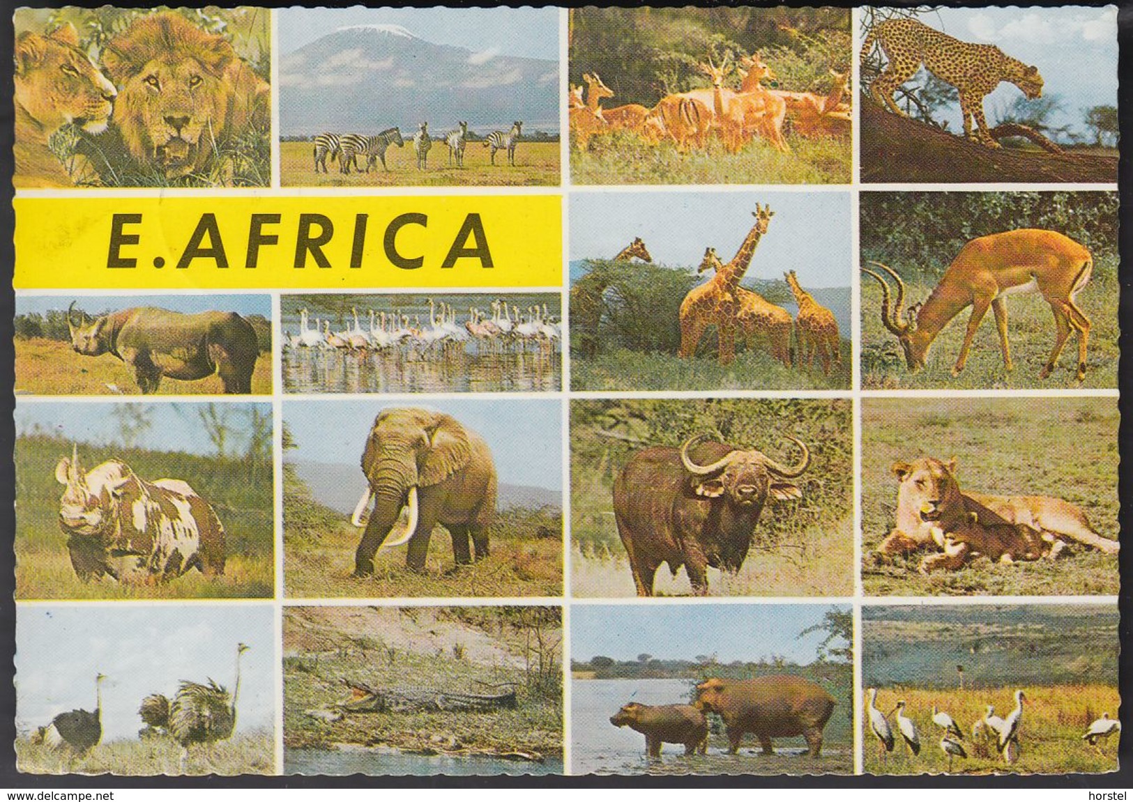 Kenia  East Afrika - Wildlife - Animals - 2x Nice Stamps - Kenia