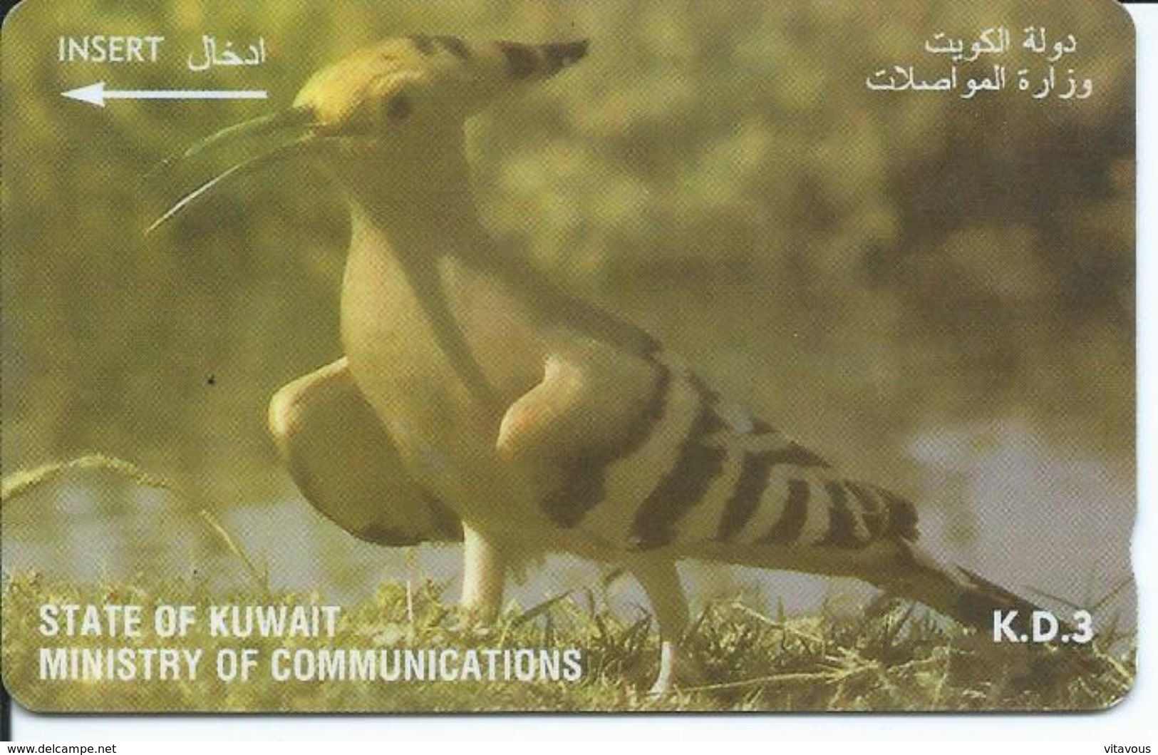 Oiseau Bird Télécarte Koweit Animal Phonecard  (D 177) - Koweït