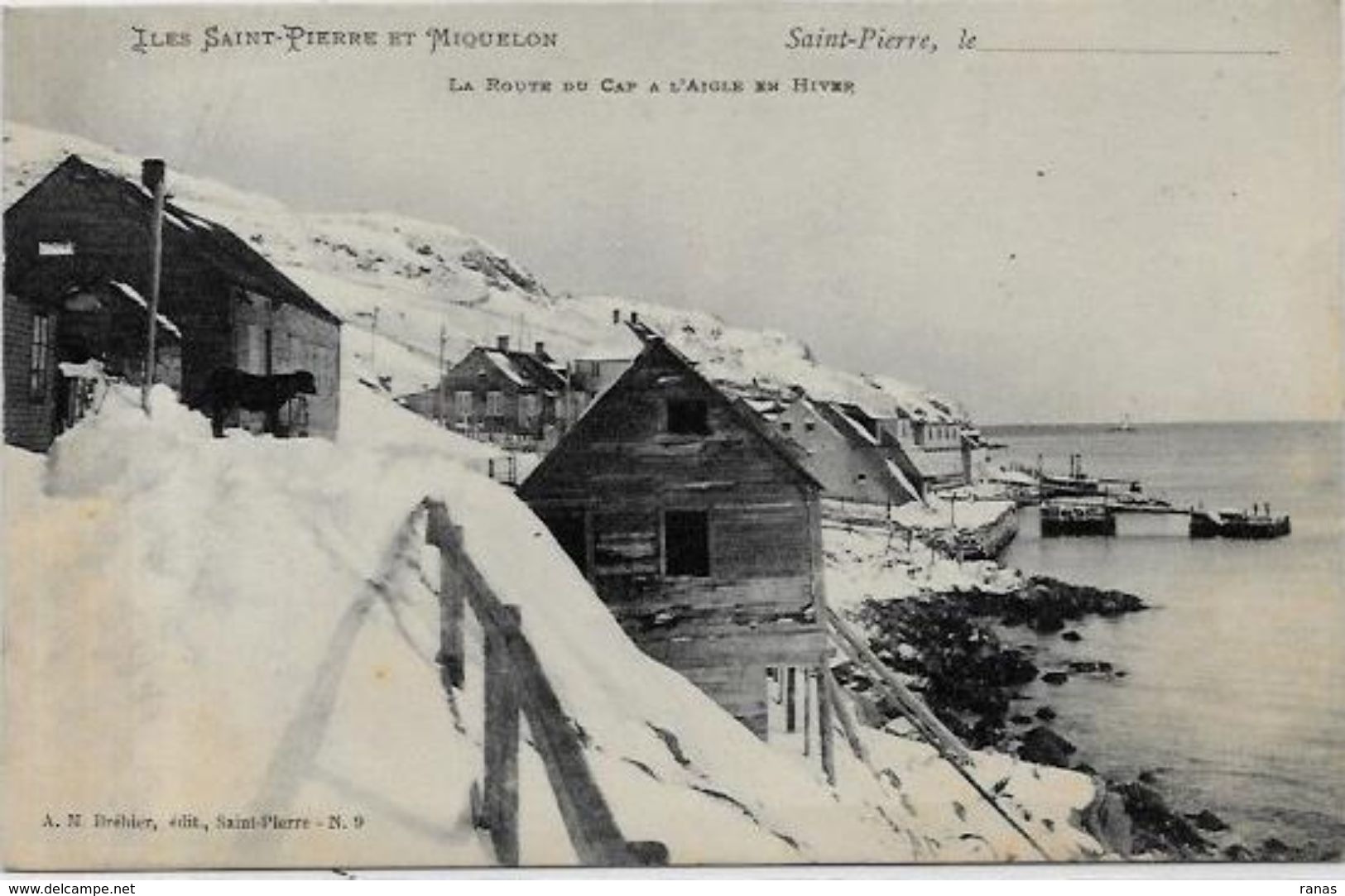 CPA Saint Pierre Et Miquelon Non Circulé - Saint-Pierre E Miquelon