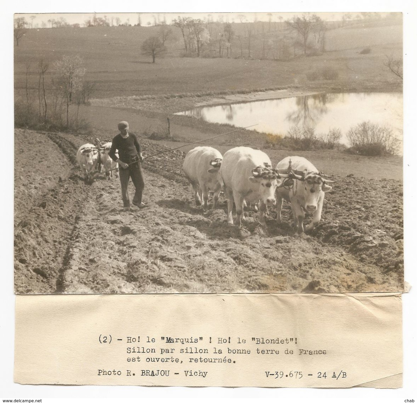 MILITARIA - WW2 - GUERRE 39 - 45 -- PROPAGANDE VICHY - Photo R. BRAJOU - VICHY -- Pas Connaisseur En Photos - Ph.2 - Guerre, Militaire