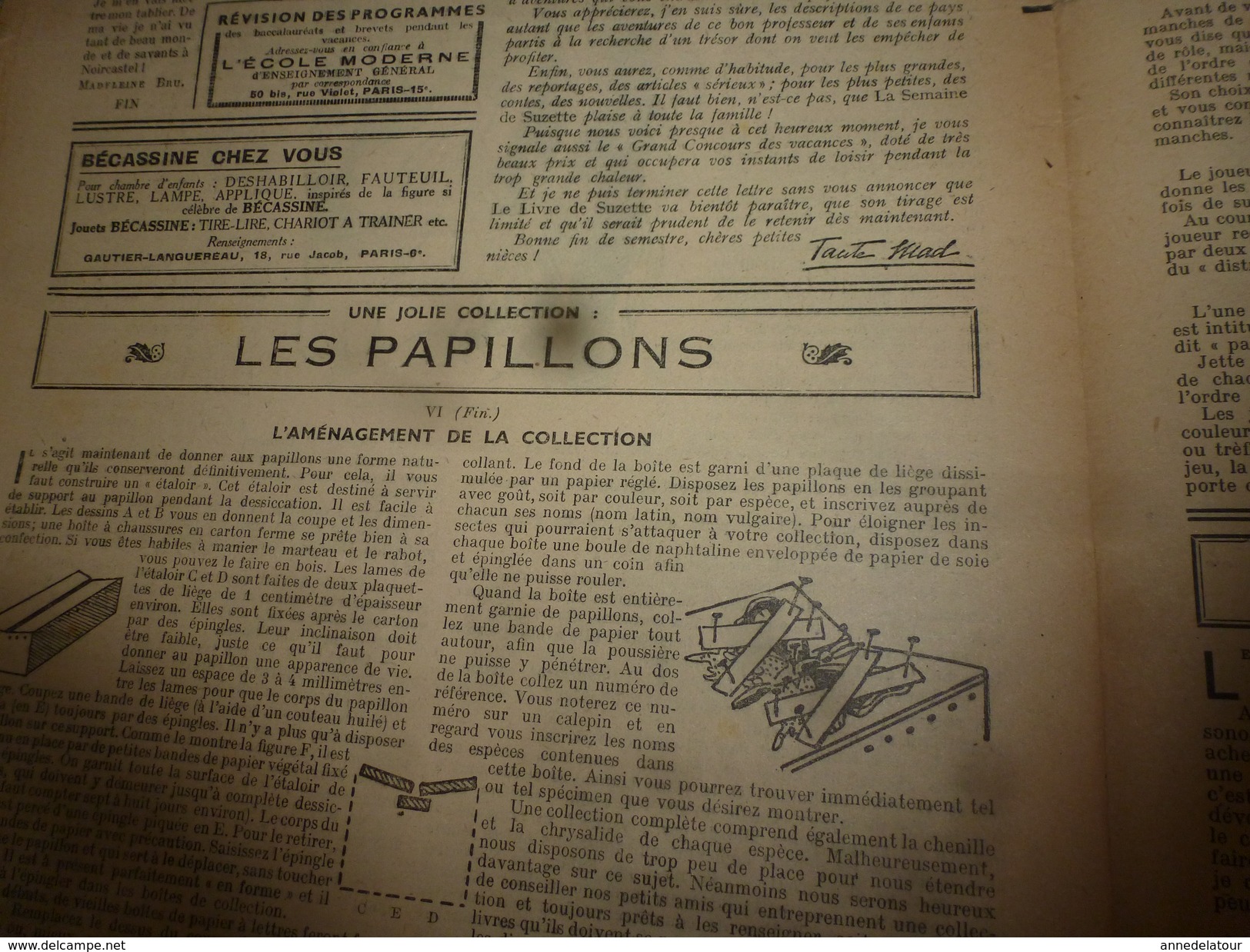 1948 LSDS  (La Semaine De Suzette) :Les PAPILLONS Et Aménagement D'une Collection; Etc - La Semaine De Suzette