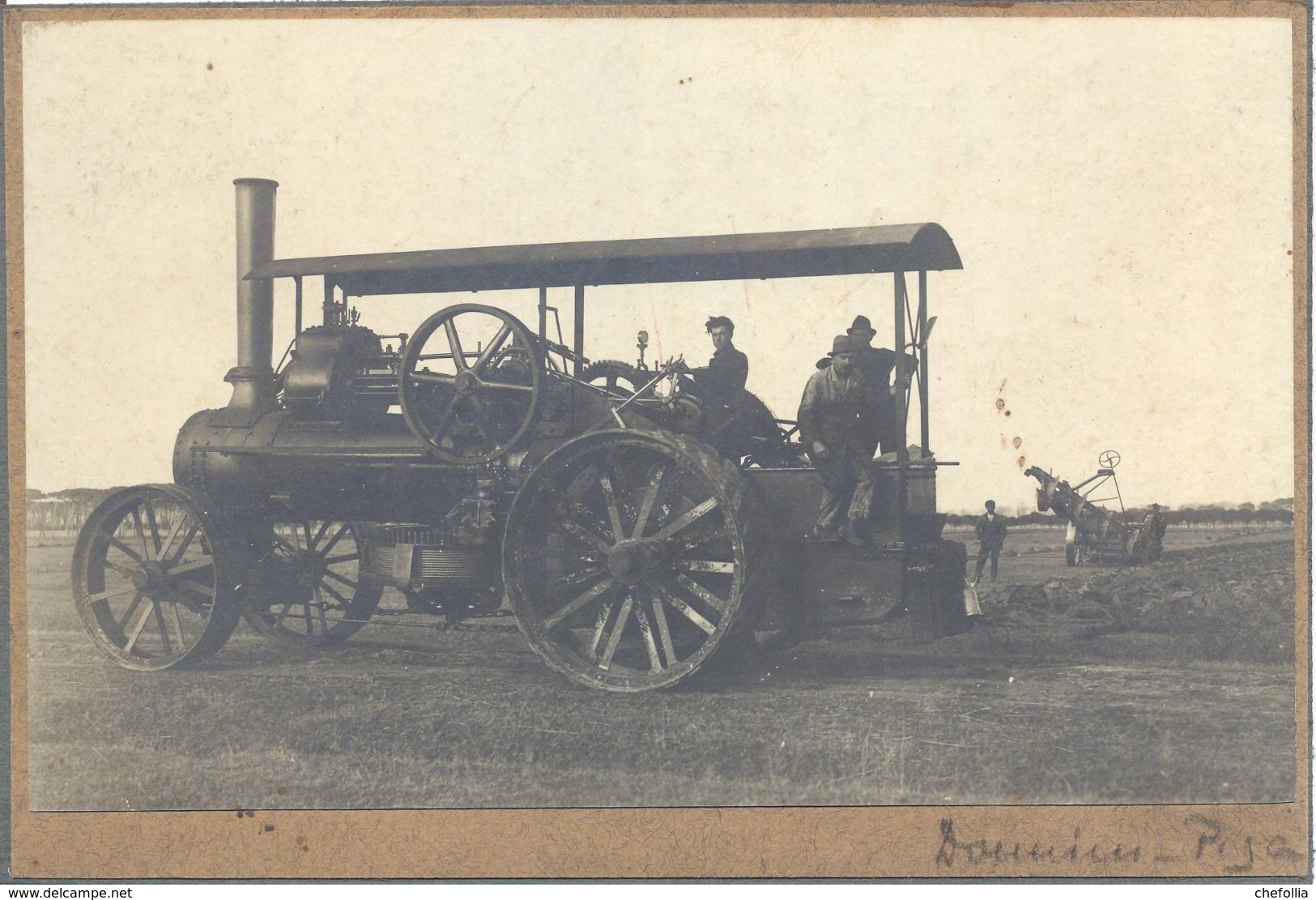 Coltano Pisa  Bonifica Dei Terreni Con Trattore Mezzi Agricoli Lavori Mestieri Foto Privata - Pisa