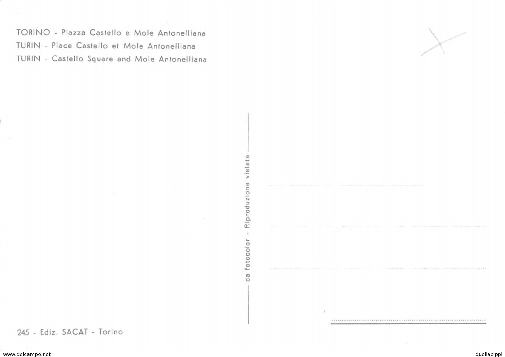D6999 "TORINO - PIAZZA CASTELLO - MOLE ANTONELIANA "AUTO '70, SACAT 245 CART NON SPED - Places & Squares