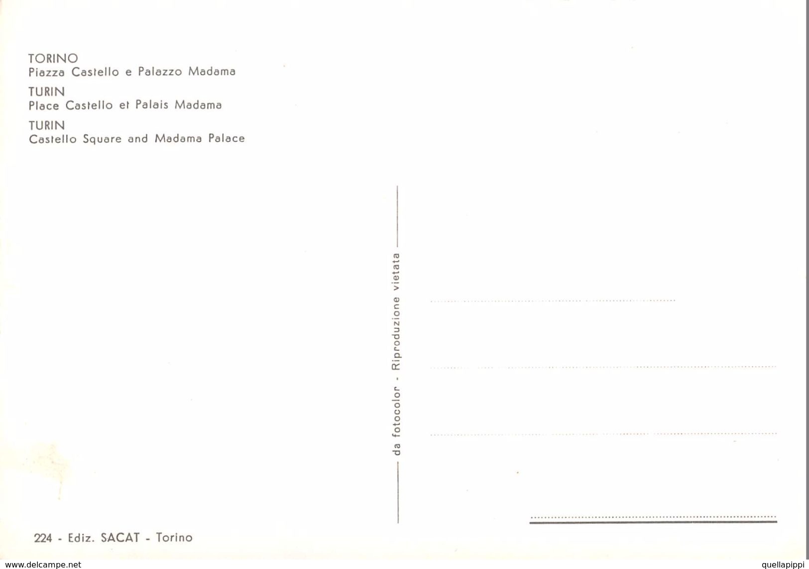 D7001 "TORINO - PIAZZA CASTELLO - PALAZZO MADAMA " ANIMATA  AUTO '70, SACAT 224  CART NON SPED - Places & Squares