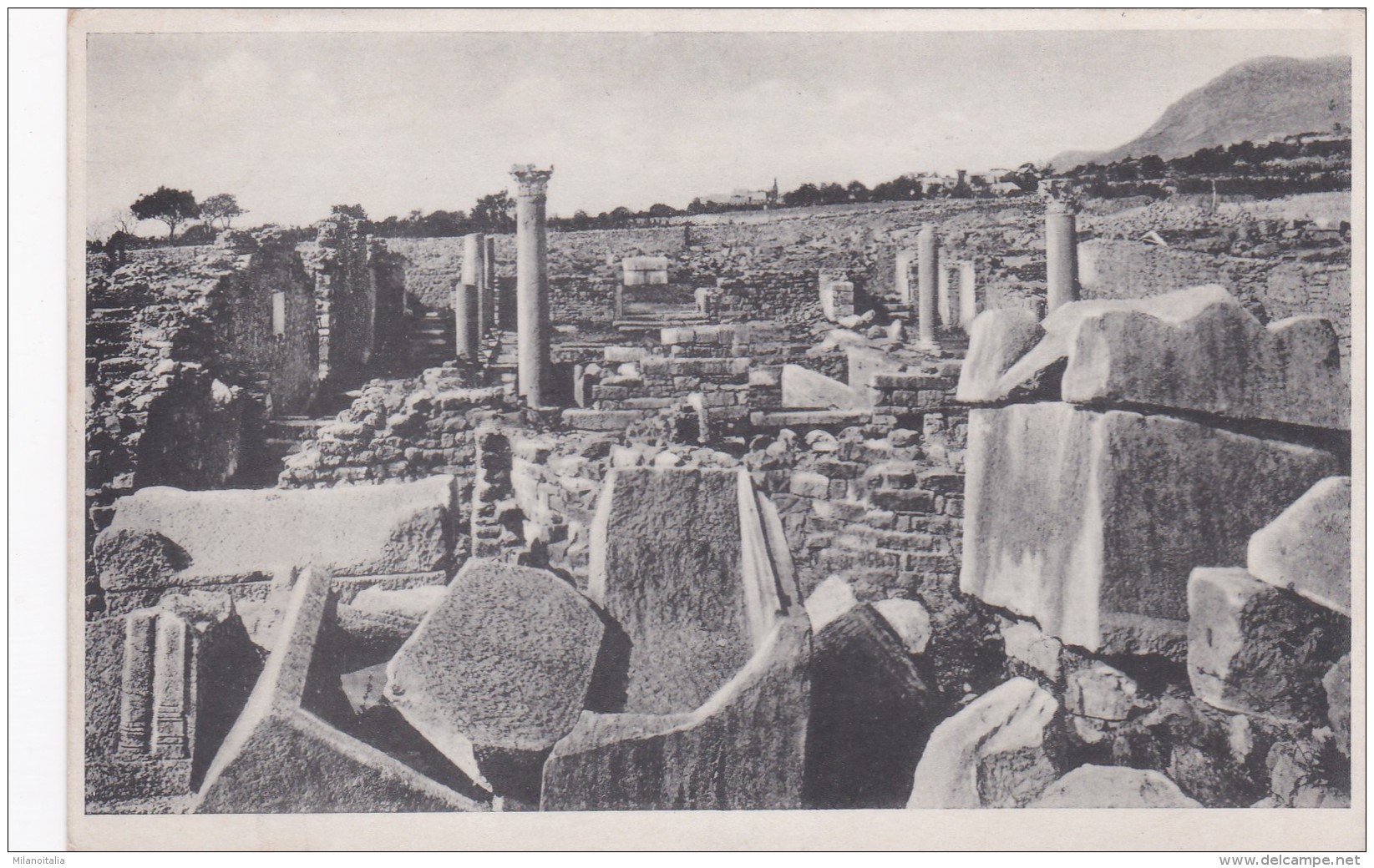 Solin - Salona - Ruine (21943) - Croazia