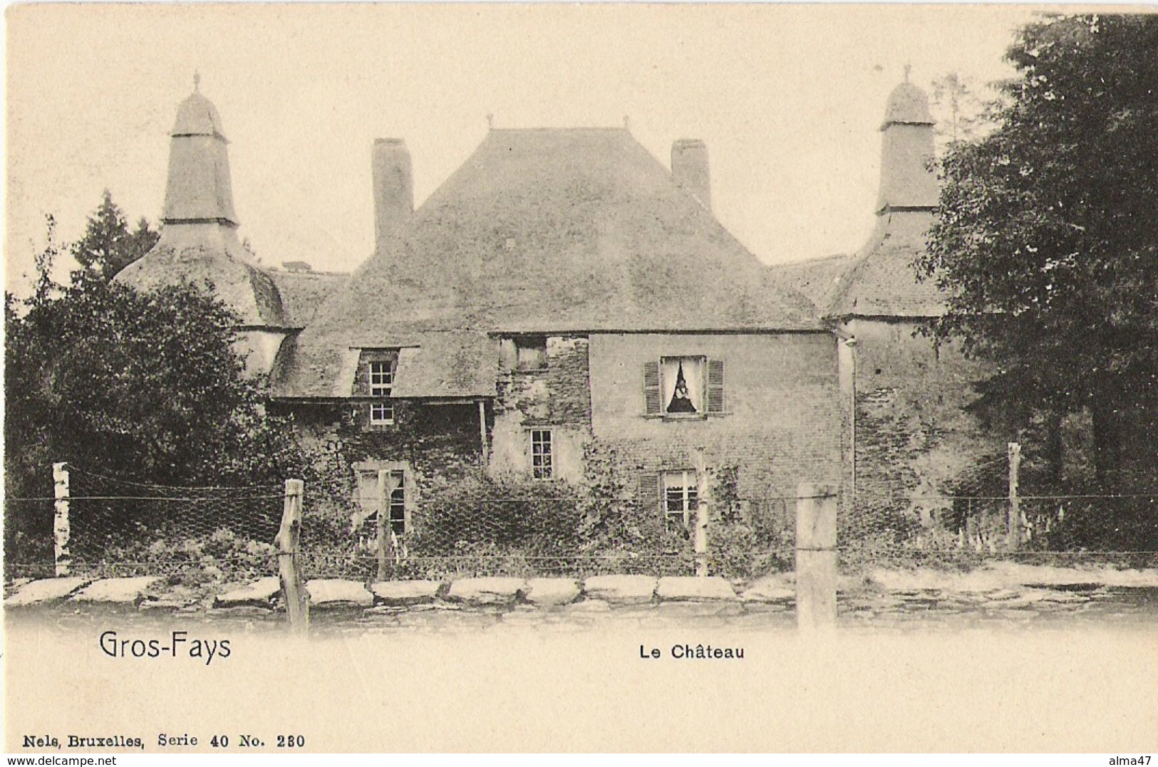 Gros-Fays (Bièvre) - Le Château - N'a Pas Circulé - Dos Simple - Nels Série 40 N° 230 - SUPER - Bièvre