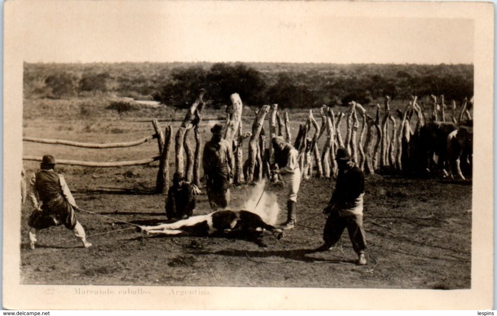 AMERIQUE -- ARGENTINE - Carte Photo Rare - Argentina