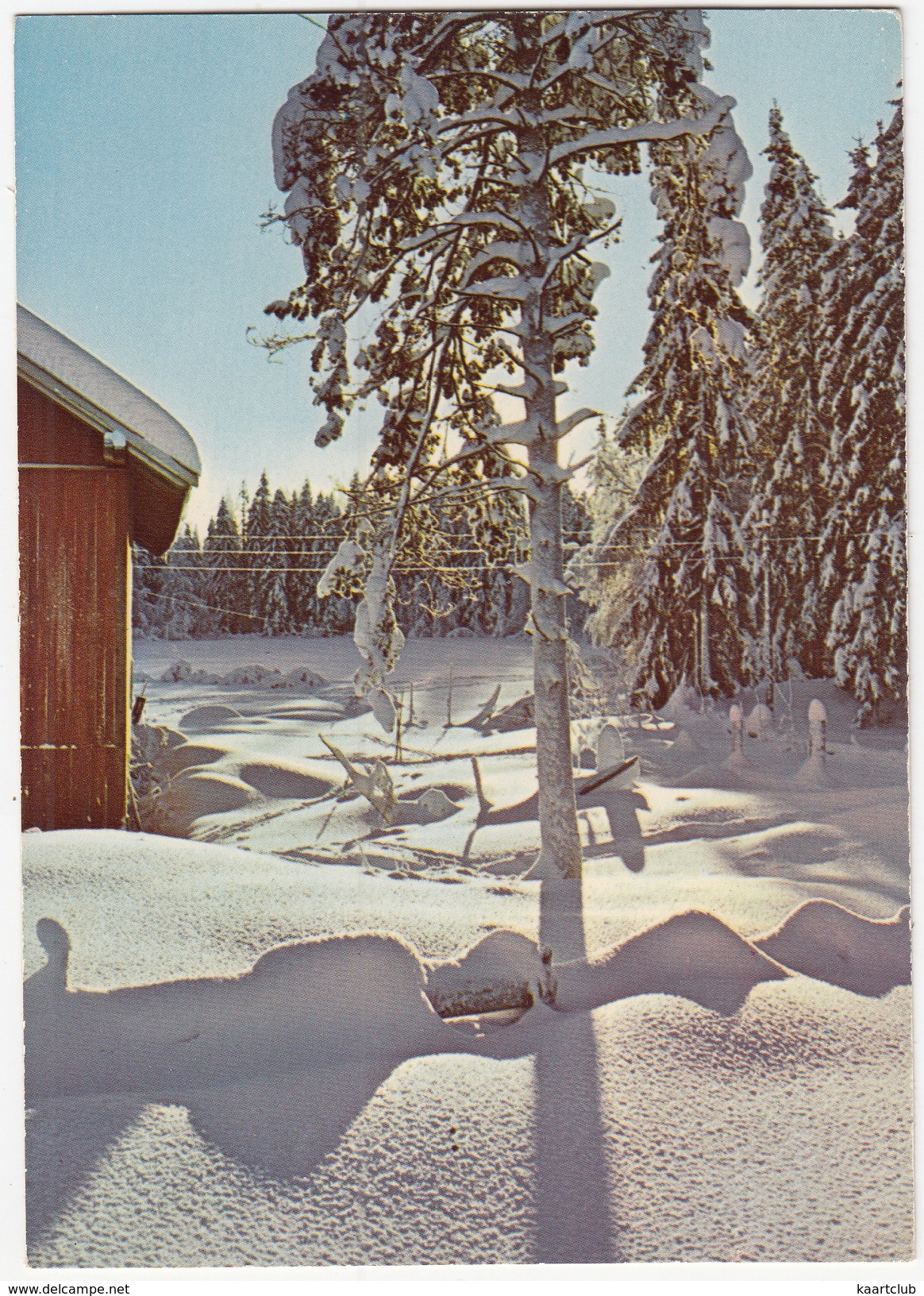 Vinter I Norge - (Winter Wonder Land) - (Norge/Norway) - Noorwegen