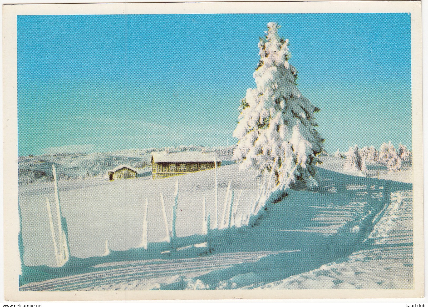 Gudbrandsdal - Vinter I Norge - (Winter Wonder Land)  - (Norge/Norway) - Noorwegen
